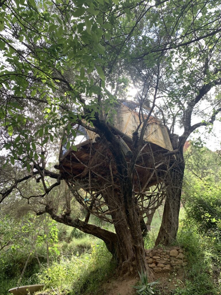 Tree house at Valle de Sensaciones